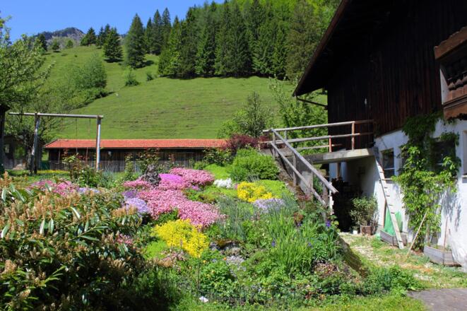 Garten