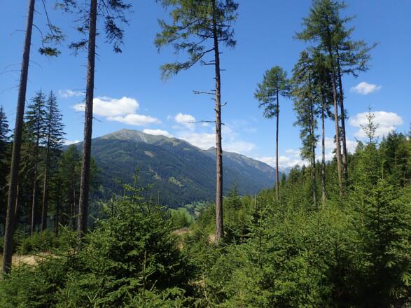 Ausblick zum Speiereck