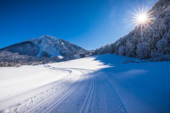 Madshus Loipe vor Hinterpoint