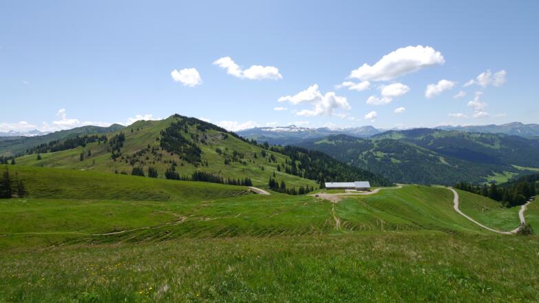 Obere Wilhelmine Alpe