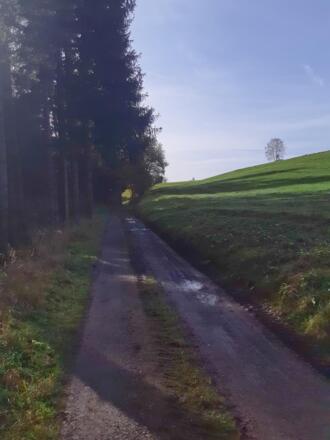 Ruhige Wege am und im Wald und auf Wiesen