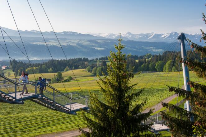 Scheidegg_Skywalk