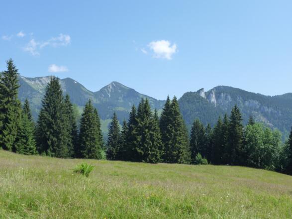 Bekannte Heutaler Gipfel