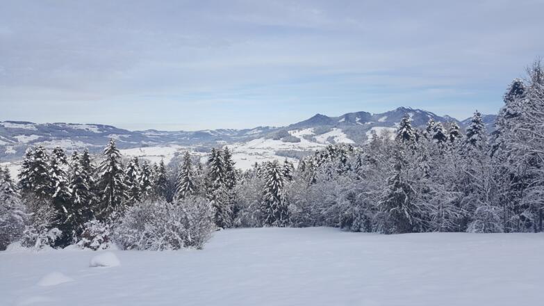 Ausblick oberhalb von Müselbach nach Langenegg