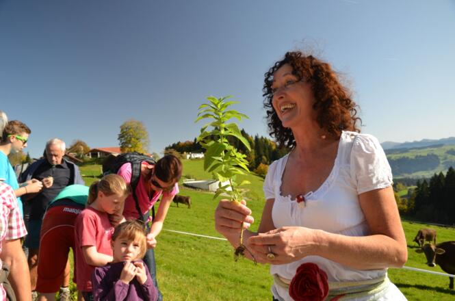 Scheidegg_Kraeuterwanderung