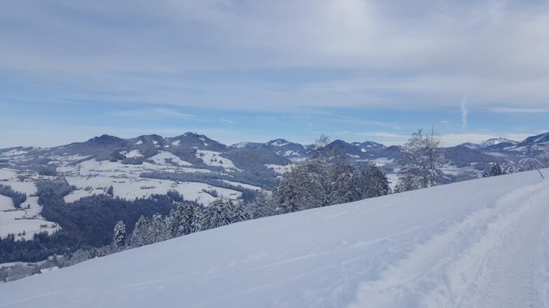 Blick von Tannen nach Langenegg
