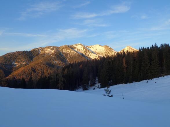 Reifelberg - Vorderlahnerkopf - Sonntagshorn