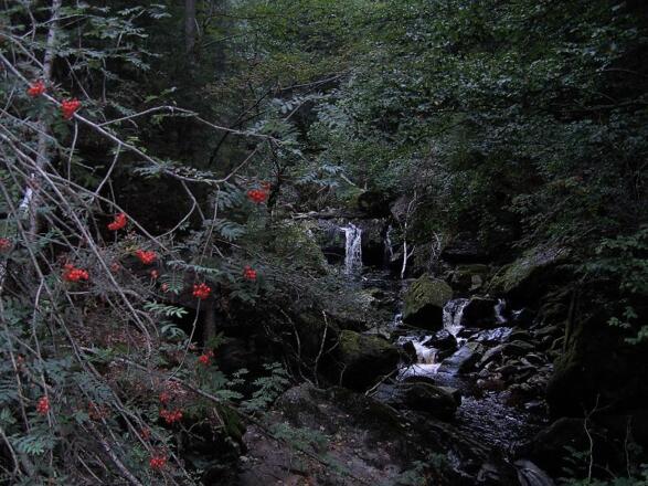 Die Große Ohe hat sich über Jahrtausende ihr eigenes Bachbett geschaffen.