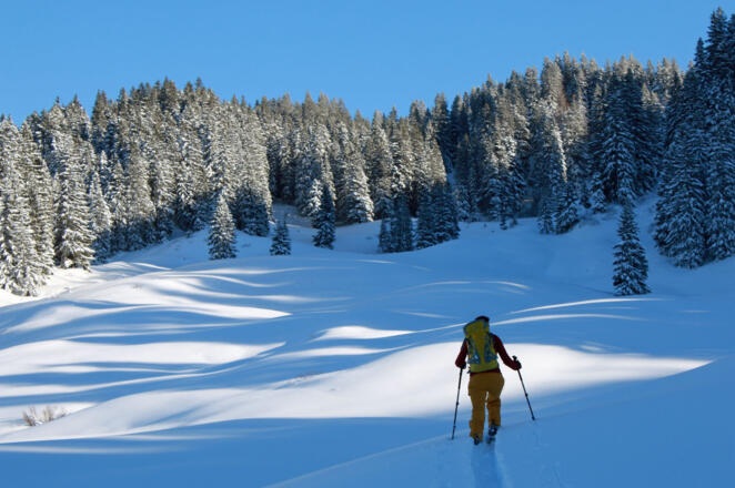 Auf dem Almgelände östlich der Güntlealpe