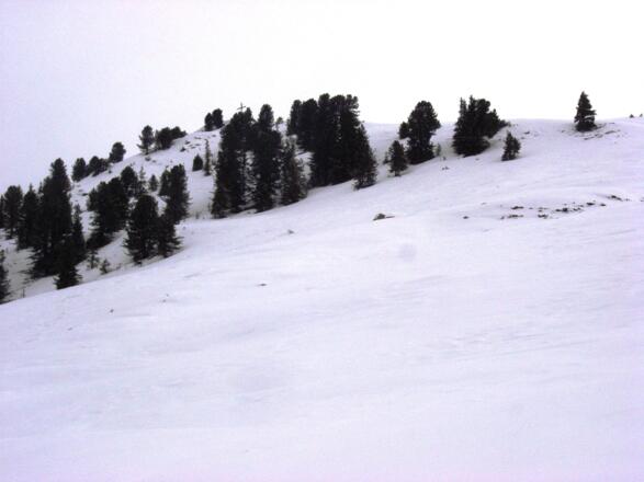 auf den Almflächen der Kapaunser Alm, das Kapaunser Jöchel ist bereits in Sicht