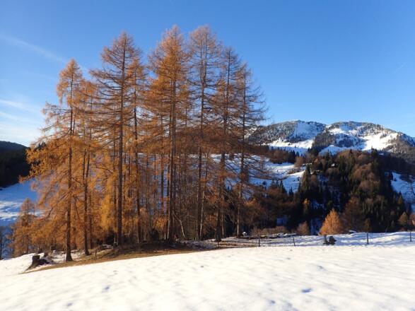 Aufstieg über den Südwestrücken, im Sommer gehts über den Fahrweg außen herum