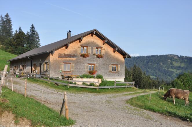 Alpe Glockenplatte Hittisau