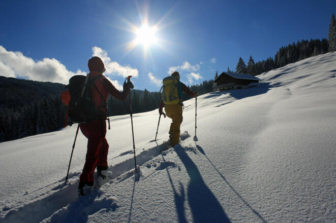 An der Stadelmannburstalpe