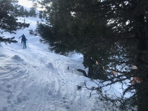 Am Ende des Sommerweges zum Hochleger