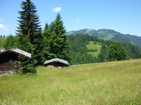 Und so schauts im Sommer aus