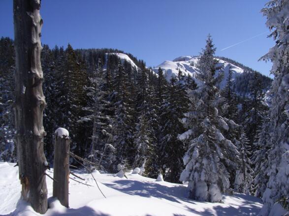 Von der Bergstation des Mühlberglifts