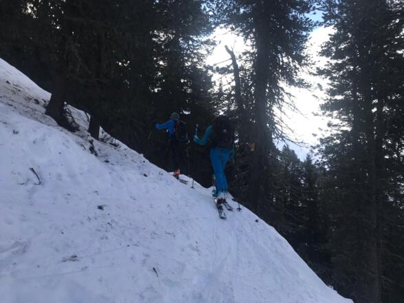 Am Weg durch den Zirbenwald hinüber zum Hochleger