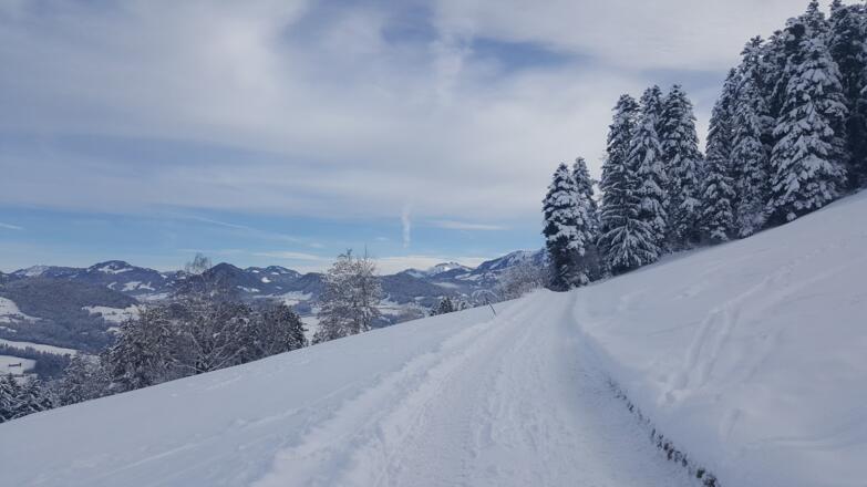 Winterwandern in Tannen mit Blick auf den Hohen Ifen