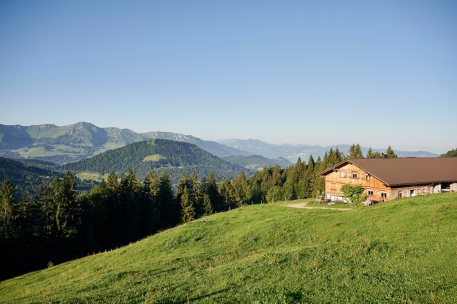 Alpe Schwarzenberger Platte im Lecknertal
