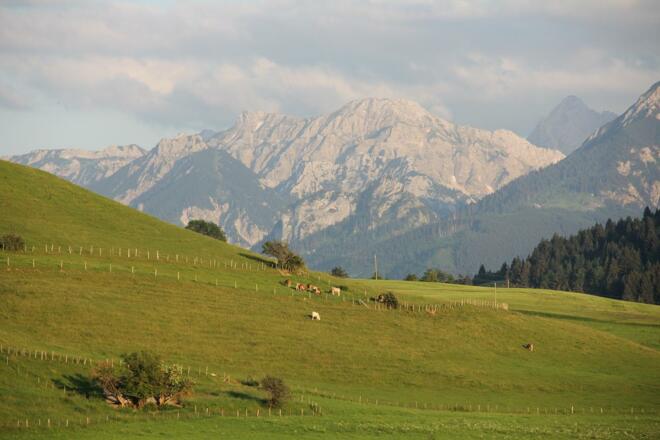 Ausblick_auf_die_Berge