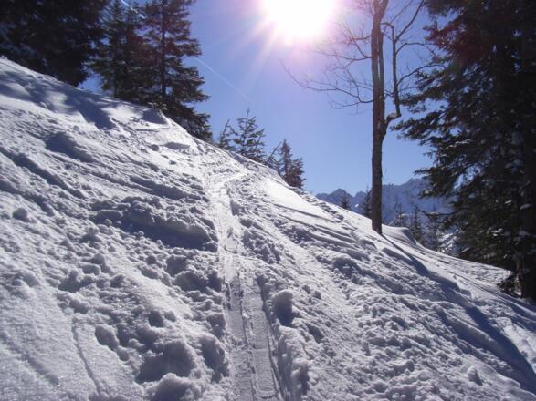 durch lichten Wlad zum Mittagkopf