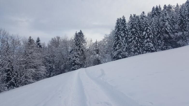 Winterwanderweg oberhalb von Müselbach