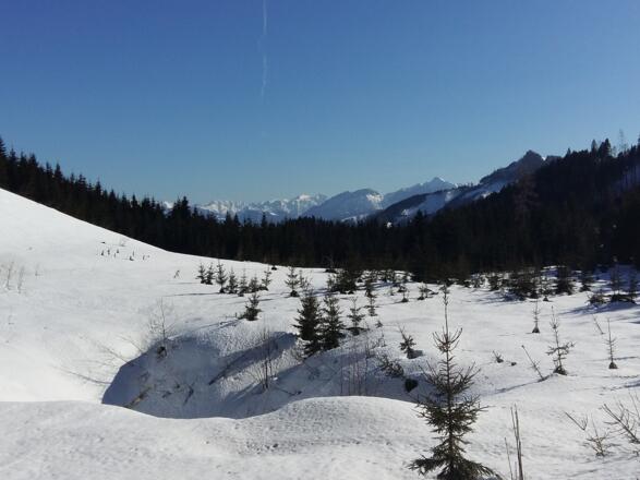 Schneeschuhtour - Schüttbauernalm (von Niglalm)