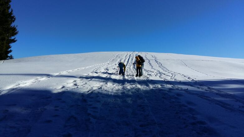 Schneeschuhwandern am Glasenberg