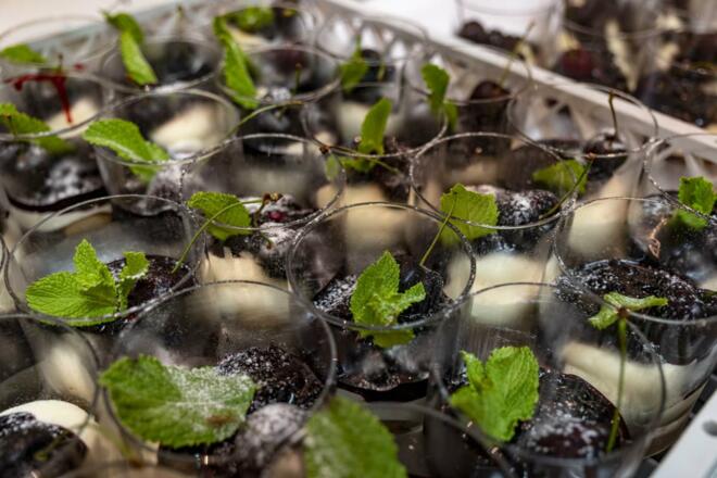 Dessertbuffet Hotel Erlebach Kleinwalsertal BB