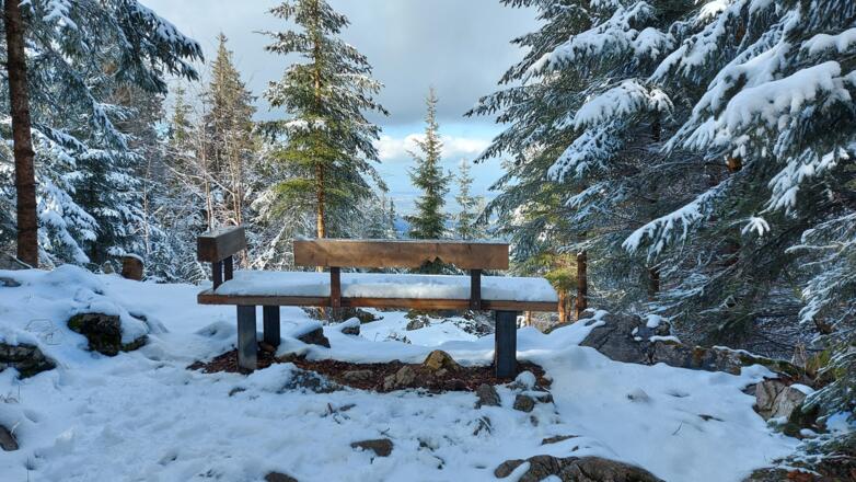 Winterwanderung Hohe Dirn - Losenstein