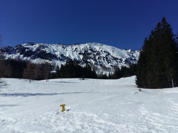 Schneeschuhtour - Schüttbauernalm (von Niglalm)