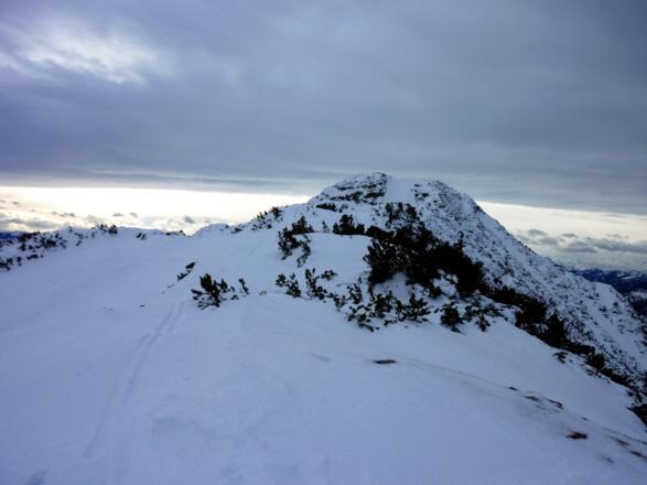 Auf der Kuppe oberhalb der Bergstation, ca. 1710 m