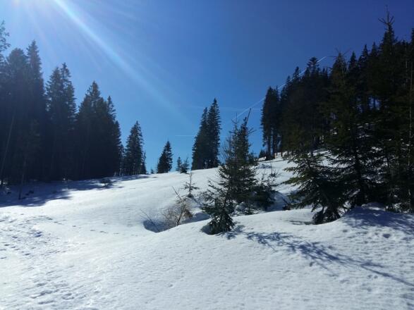 Schneeschuhtour auf die Bodenwies