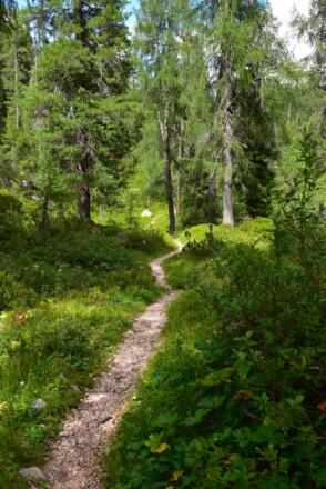 Tour_Neue_Traunsteiner_Huette_19