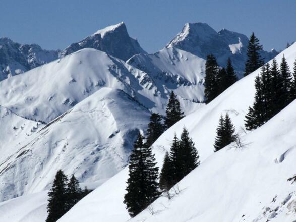 Studium des Karwendelgebirges vom Gröbner Hals aus (Östliche Karwendelspitze und Vogelkarspitze)