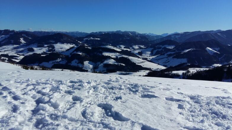 Schneeschuhwandern am Glasenberg