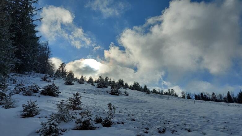 Winterwanderung Hohe Dirn - Losenstein