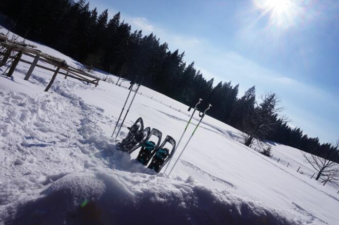 Schneeschuhtour - Gschwendtalm-Gamsstein