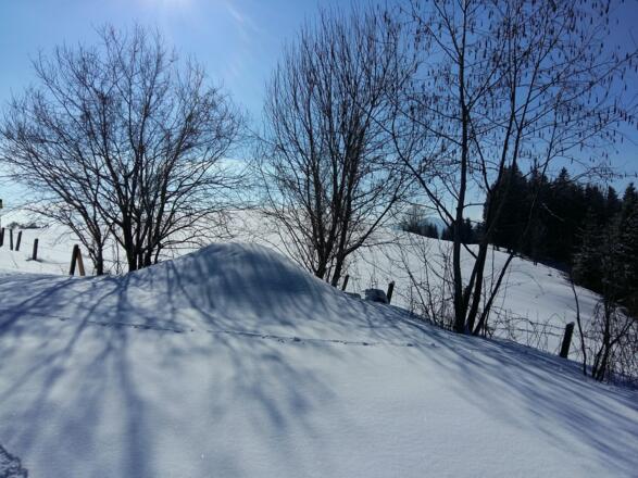 Schneeschuhtour - Gschwendtalm-Gamsstein