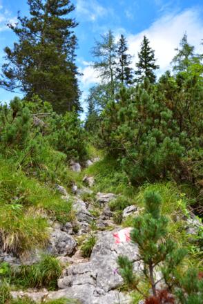 Tour_Neue_Traunsteiner_Huette_11