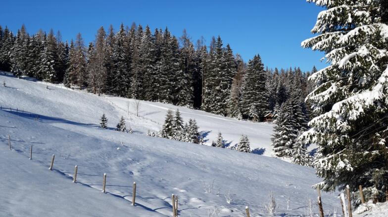 Wegloser Übergang (1070m/ 1055m) zur Stacherl Jagdhütte (rechts)