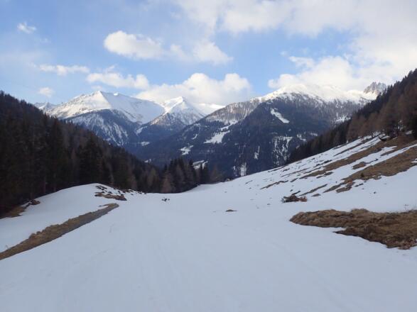 Blick Richtung Pleißnitzkogel - Gröbnitzen