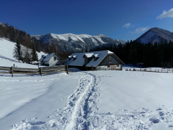 Schneeschuhtour - Gschwendtalm-Gamsstein