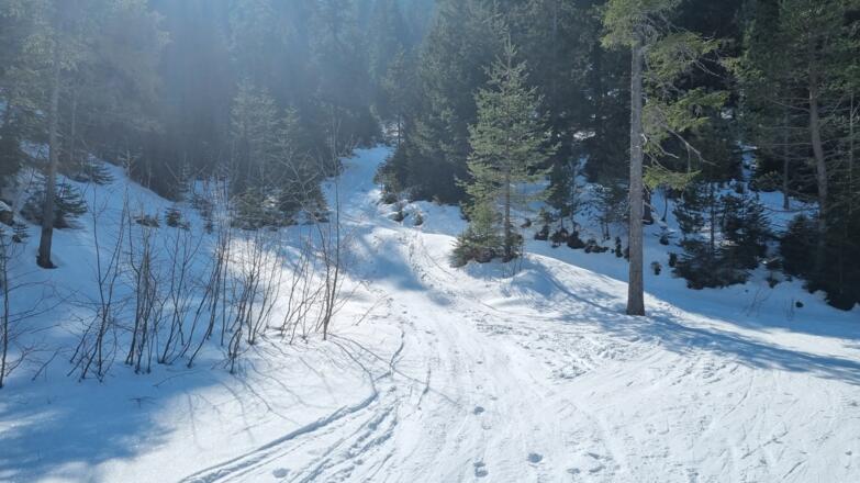 Von der L21 geht es diesen Weg steil rauf