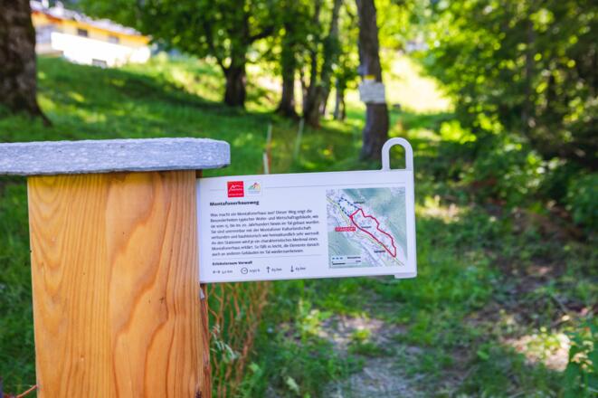 Informationsstele Alpenmosaik Montafon