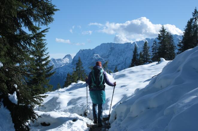 Abstieg zur Waldgrenze