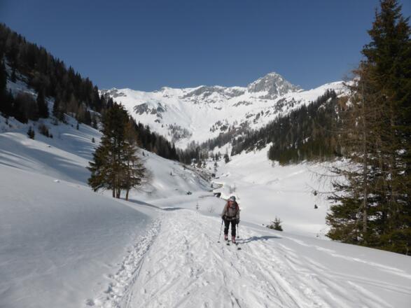Kurzer Gegenanstieg am Weg zurück nach Wald