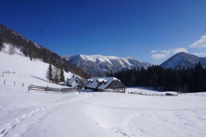 Schneeschuhtour - Gschwendtalm-Gamsstein
