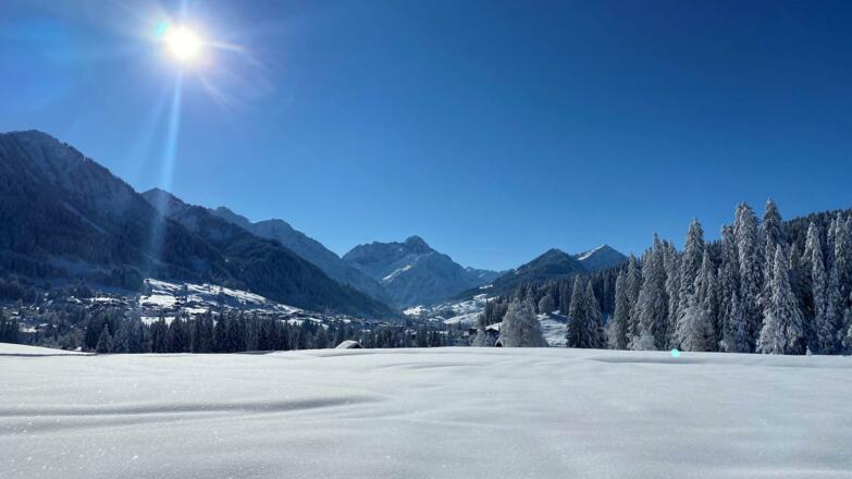 Winter im Kleinwalsertal Hotel Erlebach BB