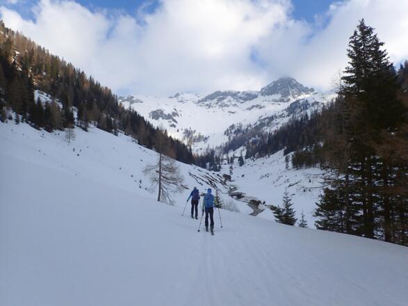 Am Fahrweg zur Muhreralm